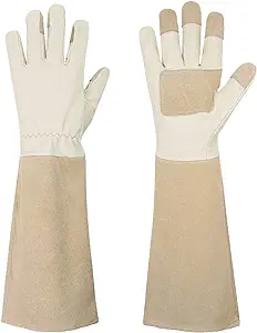 Best Women's Garden Gloves