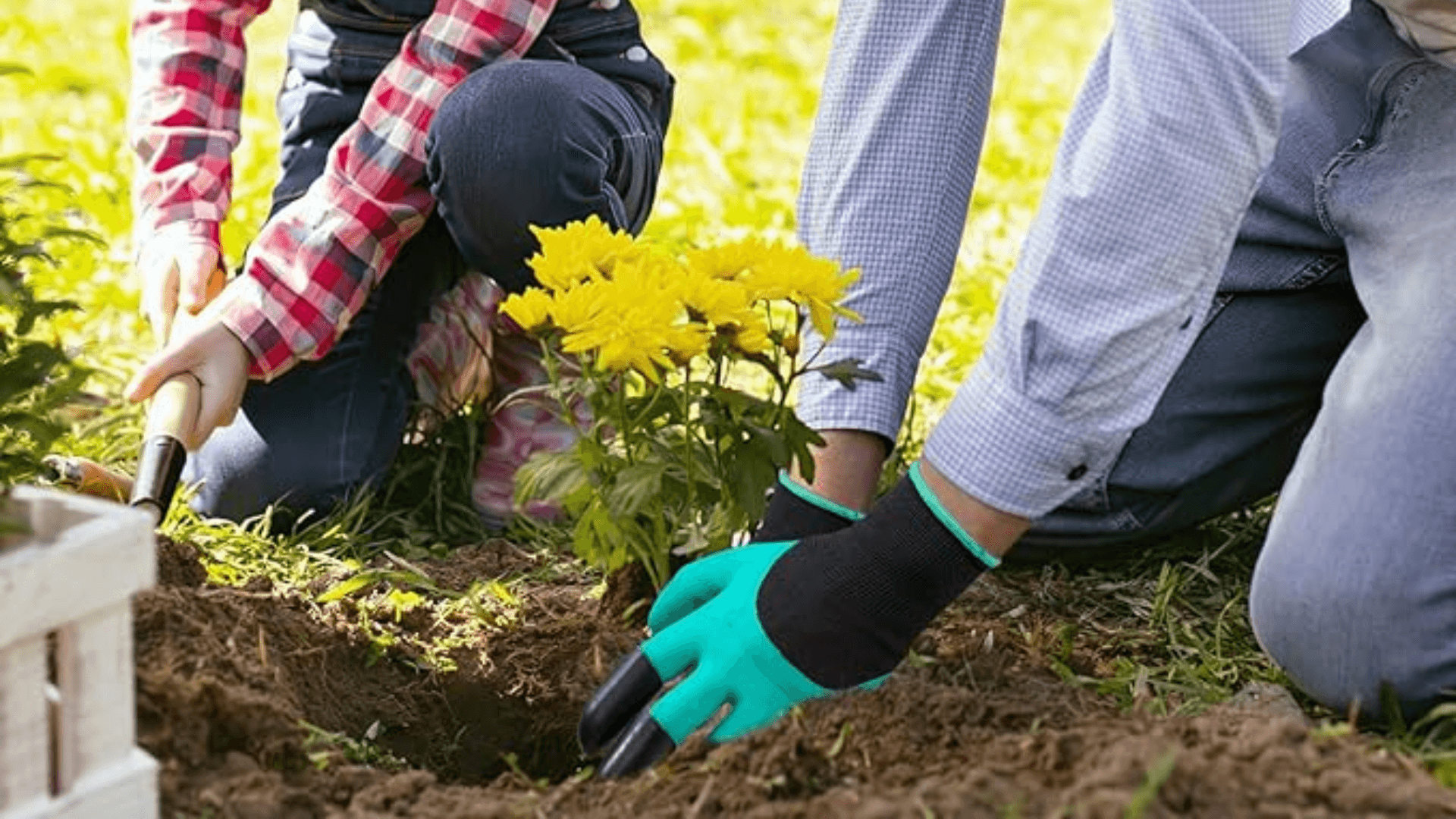 Claw Garden Gloves