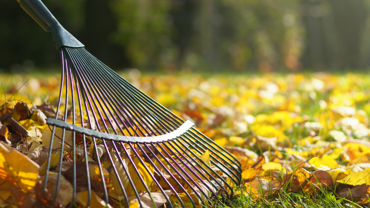 Garden Rakes