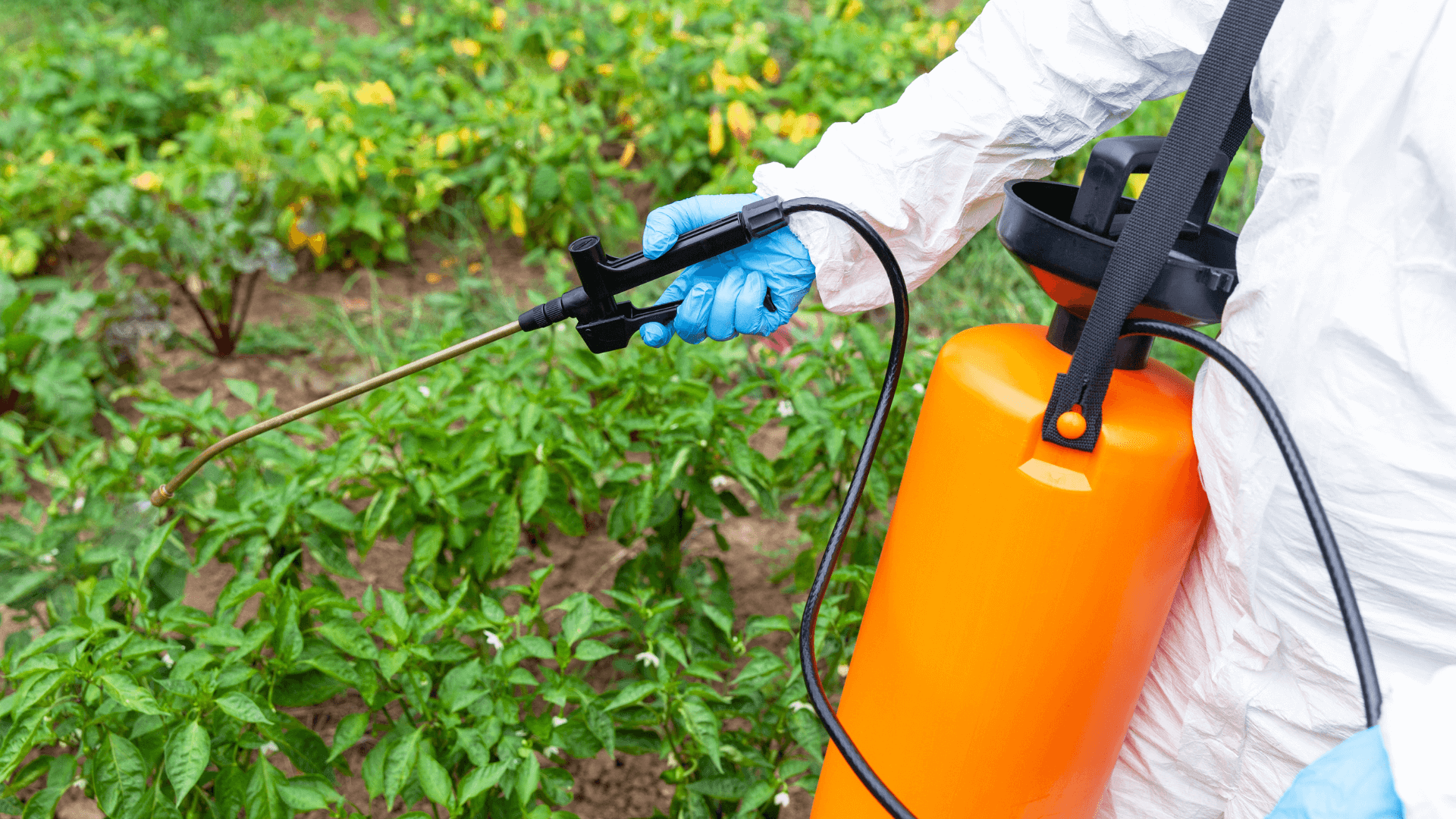 Weed and Grass Killers