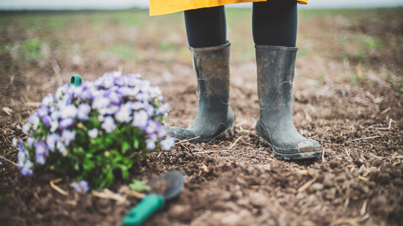 Gardening Shoes