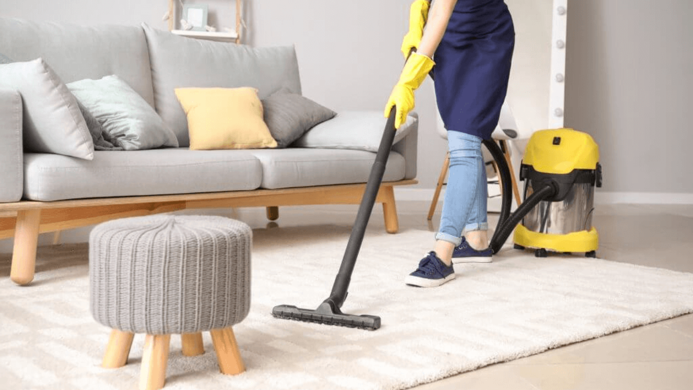 8 Best Vacuum For Professional Cleaners 2024