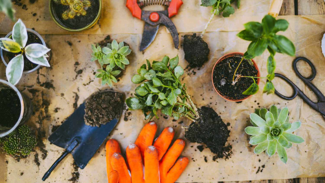 10 Best Garden Trowels in 2024: Unbiased Reviews