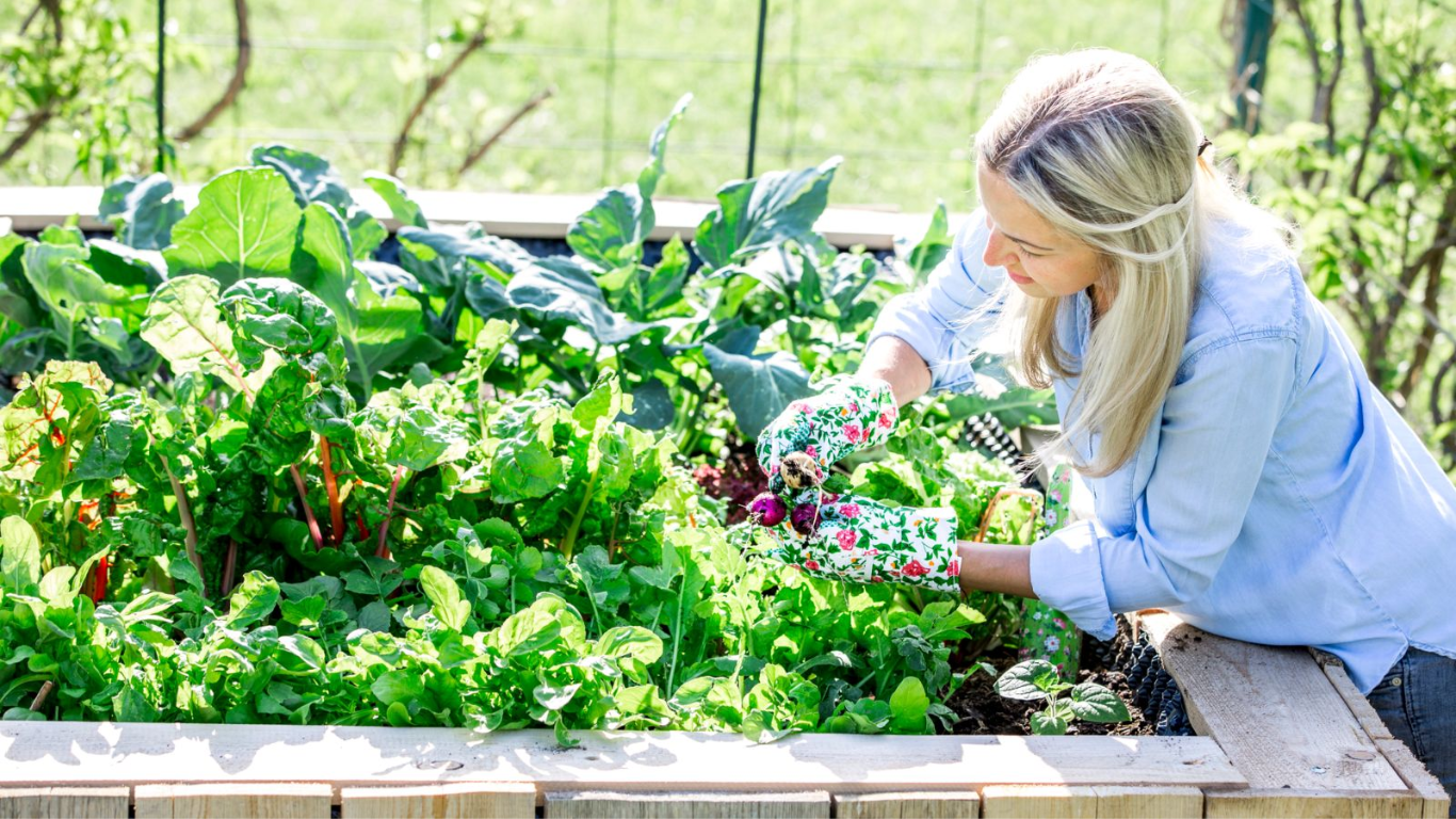 Innovative Raised Garden Bed for 2024