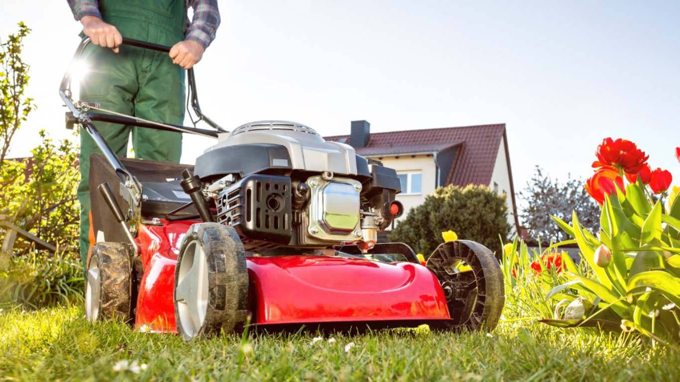 Best lawn mower for home garden