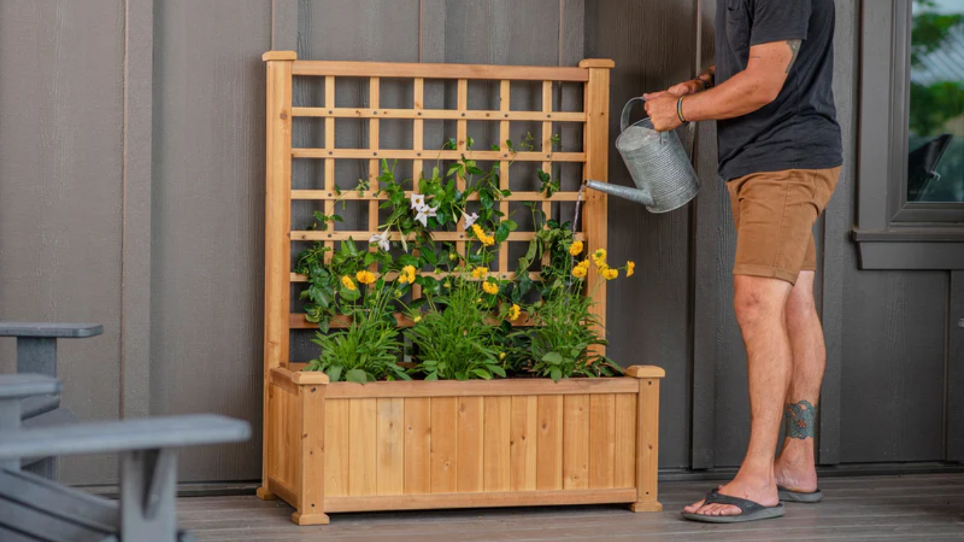 2024's 10 Best Garden Trellis Planter Box