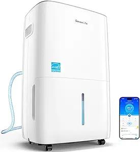 Best Dehumidifiers of 2024