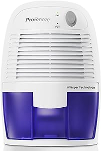 Best Dehumidifiers of 2024