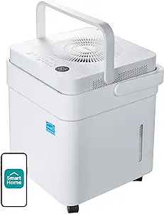 Best Dehumidifiers of 2024