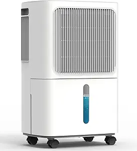 Best Dehumidifiers of 2024