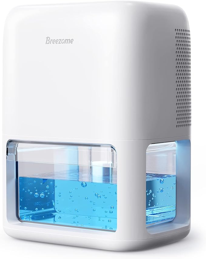 Best Dehumidifiers of 2024