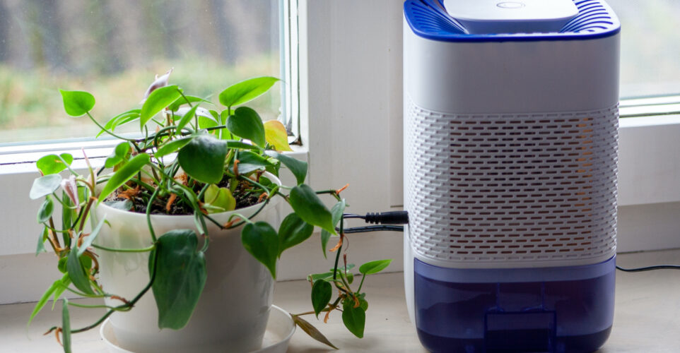 Top Picks: The Best Dehumidifiers of 2024