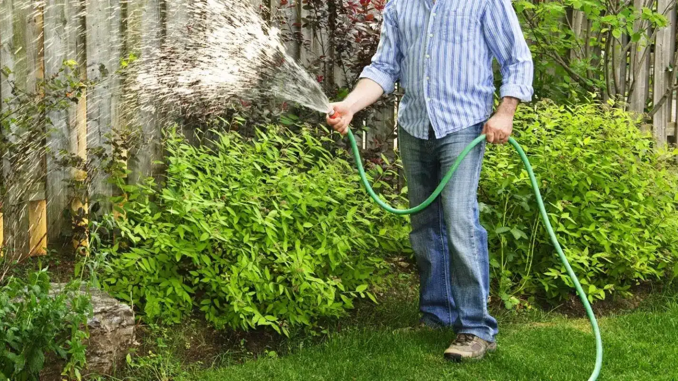 Best Expandable Garden Hose Over 100 Feet